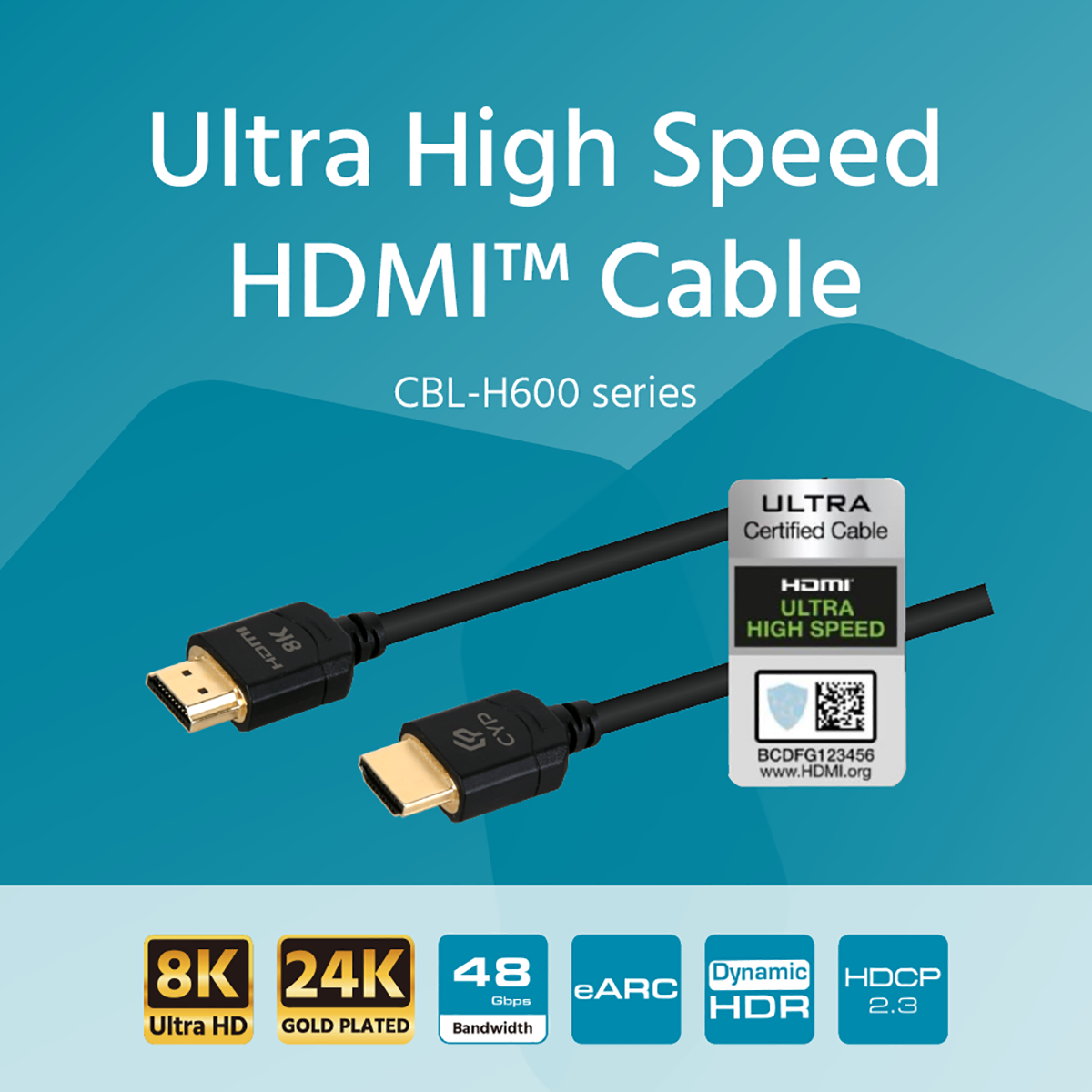 20210706 HDMI21 Cable_0804082036616