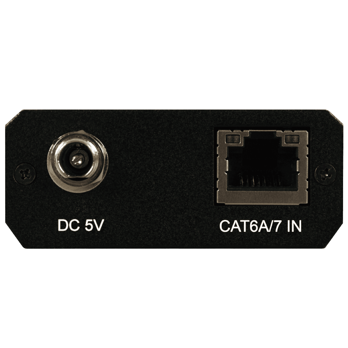 AVIP-P3601R-C Rear_0223080548786