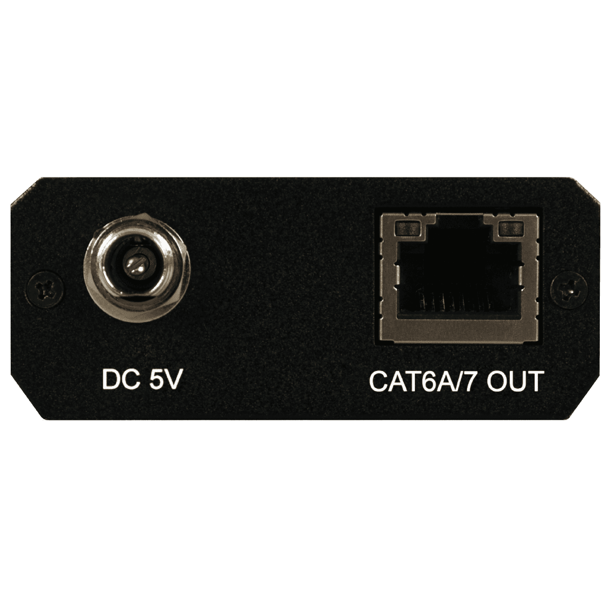 AVIP-P3601T-C Rear_0223080023858